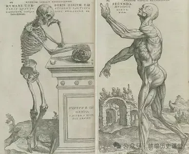 2025年中考历史一模试卷02 第1张