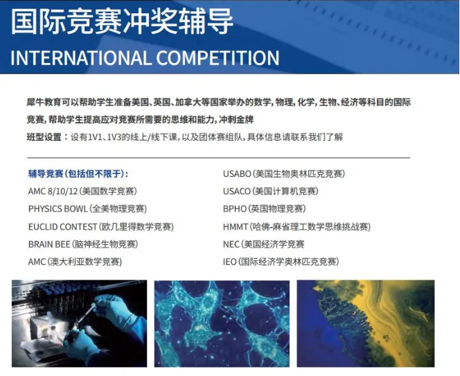 新鲜出炉!2026年袋鼠真题+答案解析!附袋鼠竞赛考后规划~ 第8张