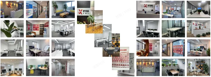 新鲜出炉!2026年袋鼠真题+答案解析!附袋鼠竞赛考后规划~ 第9张