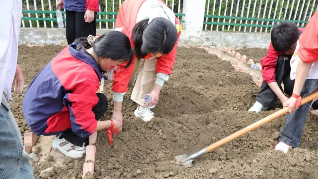 砺剑中考,六月争锋|利辛县志远中学2026届中考冲刺誓师大会圆满举行 第23张 砺剑中考,六月争锋|利辛县志远中学2026届中考冲刺誓师大会圆满举行 第23张
