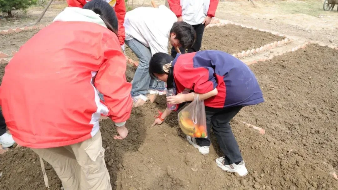砺剑中考,六月争锋|利辛县志远中学2026届中考冲刺誓师大会圆满举行 第25张 砺剑中考,六月争锋|利辛县志远中学2026届中考冲刺誓师大会圆满举行 第25张