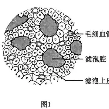 2023年至2025年高考真题官方解析汇总(解锁知识库) 第1张 2023年至2025年高考真题官方解析汇总(解锁知识库) 第1张