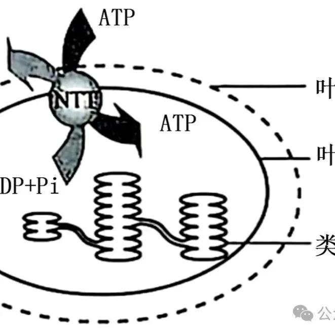 2023年至2025年高考真题官方解析汇总(解锁知识库) 第2张 2023年至2025年高考真题官方解析汇总(解锁知识库) 第2张