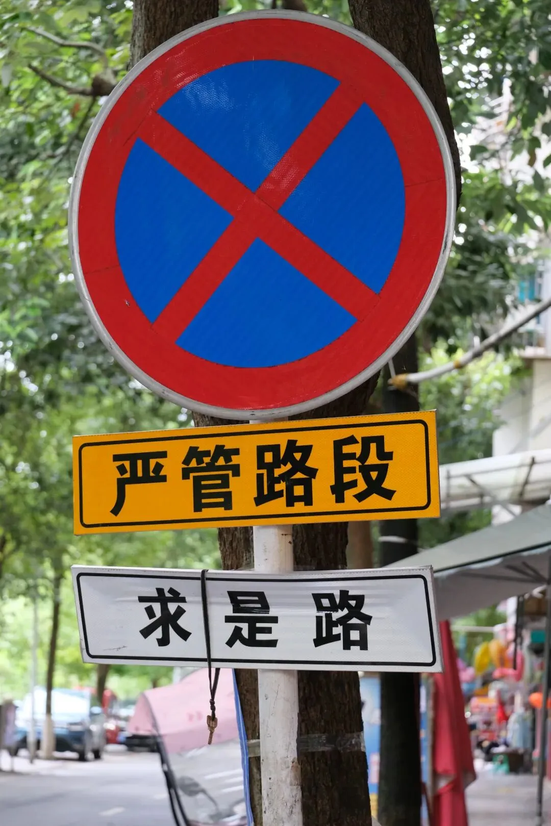 语文试卷“信息化”的体现及其答题策略 第4张