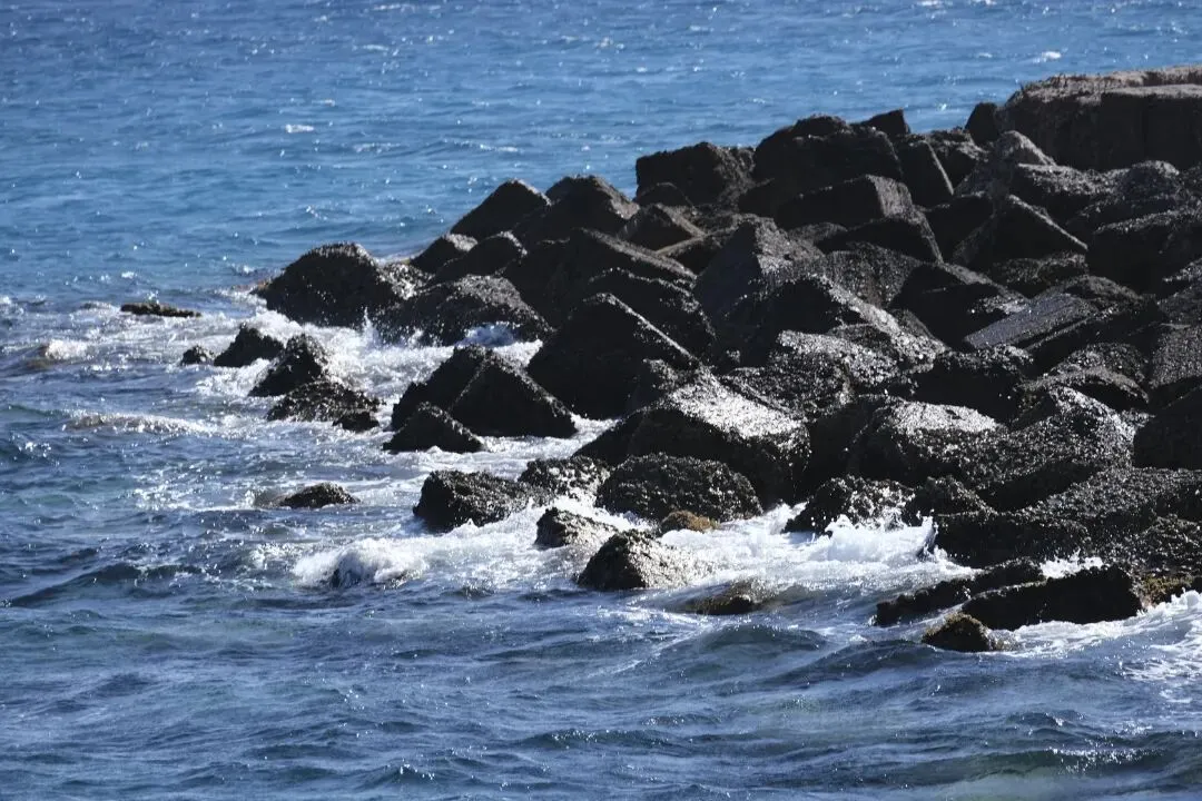 语文试卷“信息化”的体现及其答题策略 第6张