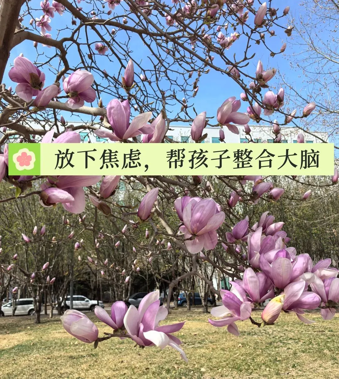 【6】孩子初中成绩中下就想放弃中考?别慌,这才是真相! 第1张