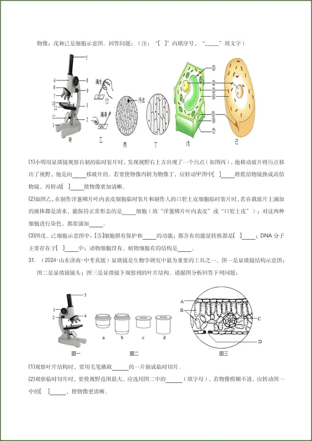 生物会考|2026《生物会考》三年中考真题分类汇编共15个专题(原卷版+答案)全国通用,电子版可打印下载! 第10张