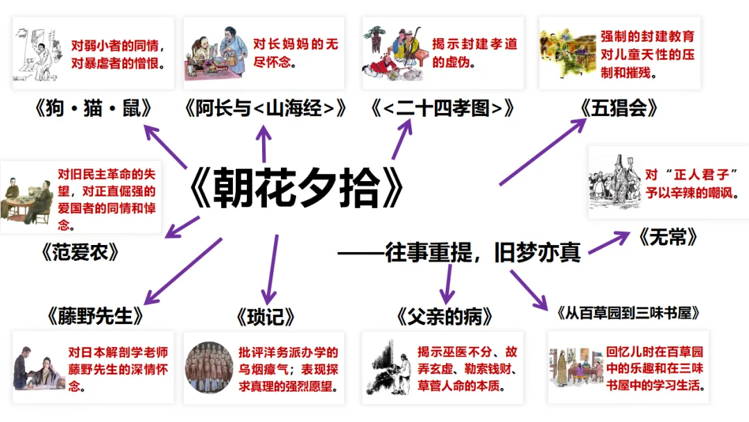 中考语文名著阅读《朝花夕拾》复习(概览+考法+精炼) 第9张