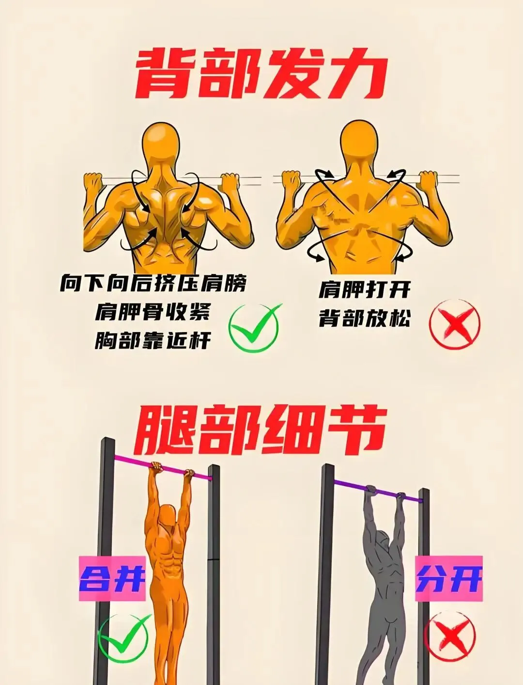 星政策|天气转暖,体测将至:这份中考体育备考指南请收好 第13张