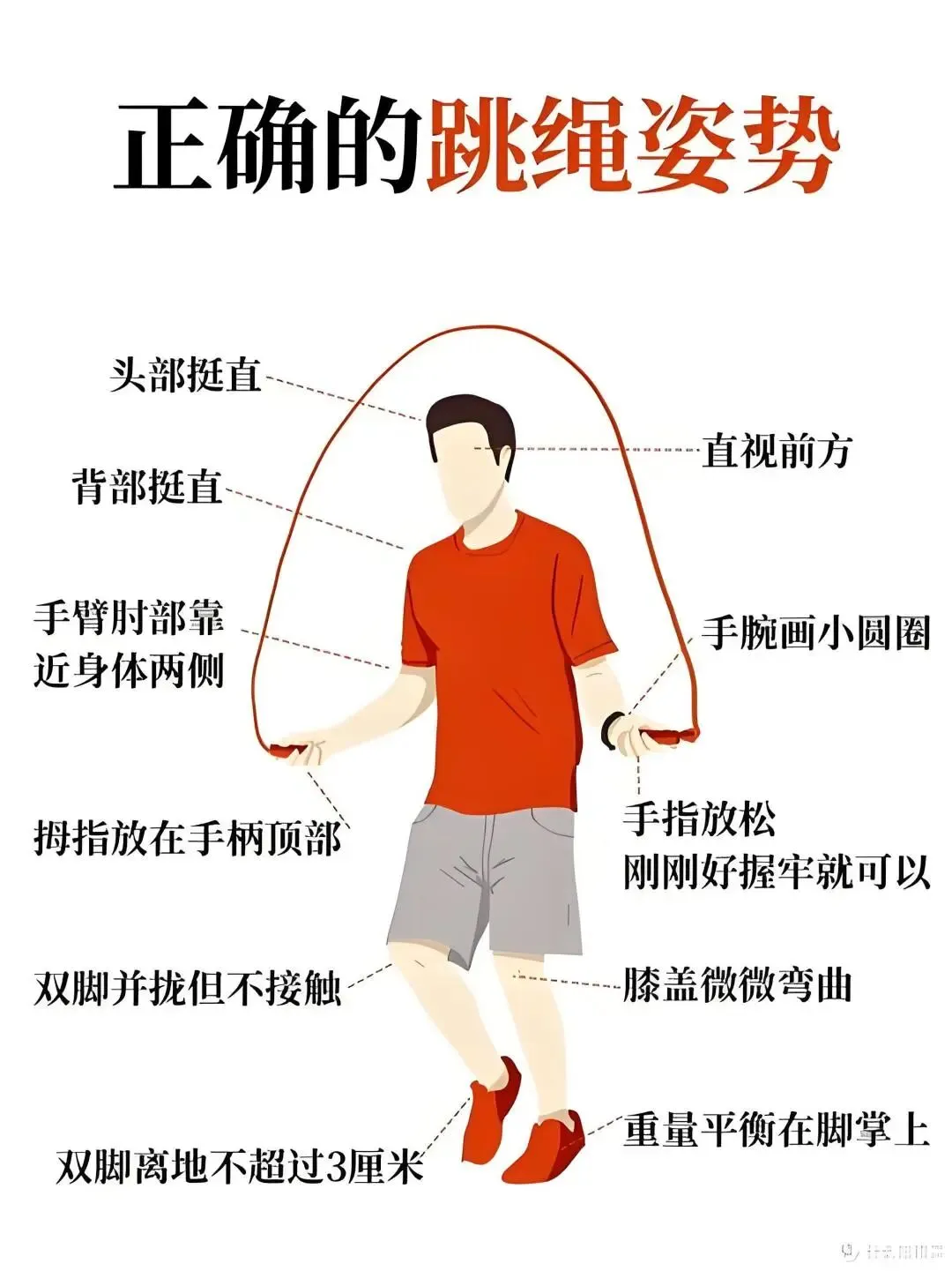 星政策|天气转暖,体测将至:这份中考体育备考指南请收好 第16张