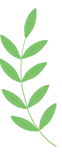 365教育|中考信息技术训练营开课啦! 第4张 365教育|中考信息技术训练营开课啦! 第4张