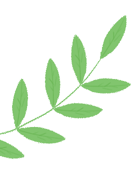 365教育|中考信息技术训练营开课啦! 第11张 365教育|中考信息技术训练营开课啦! 第11张