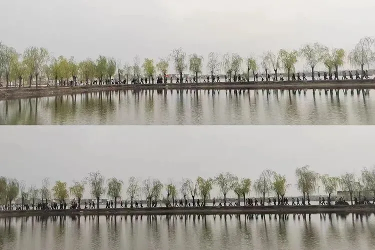 传承弦歌文脉·笃行致远迎中考 ——淮宁中学九年级及小学部弦歌台研学活动圆满举行 第36张