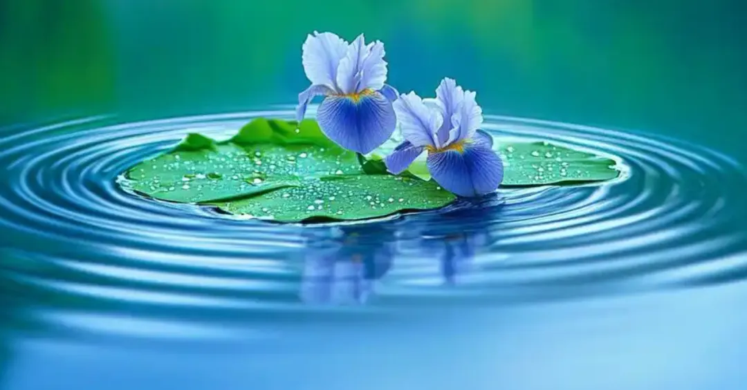 2026年中考作文预测题及范文:人间有味是清欢 第1张