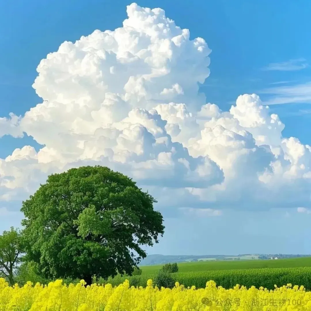 2025年3月浙江省高中生物竞赛试卷和答案 第14张