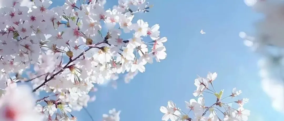 2025年3月浙江省高中生物竞赛试卷和答案 第17张