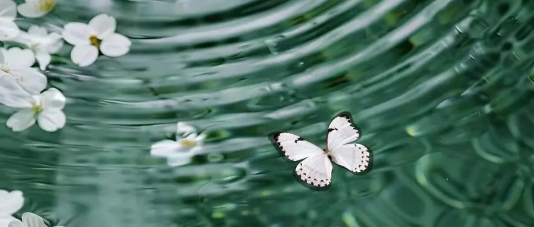 2025年3月浙江省高中生物竞赛试卷和答案 第18张