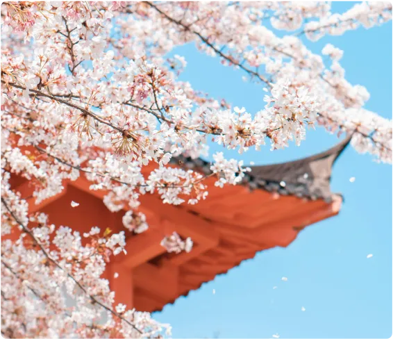 中考倒计时83天:初三生这门课闭卷考100分,的确是考验 第3张