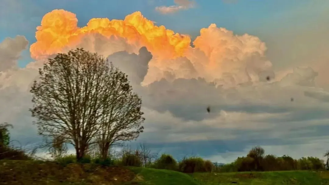 高项综合知识核心归纳拆解与真题考法(8) 第17张