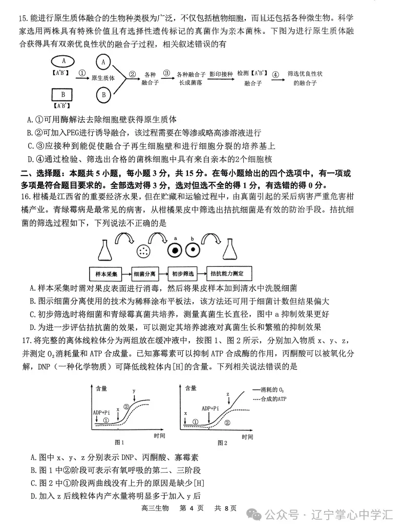 2025年4月锦州高三三模试卷+答案 第94张