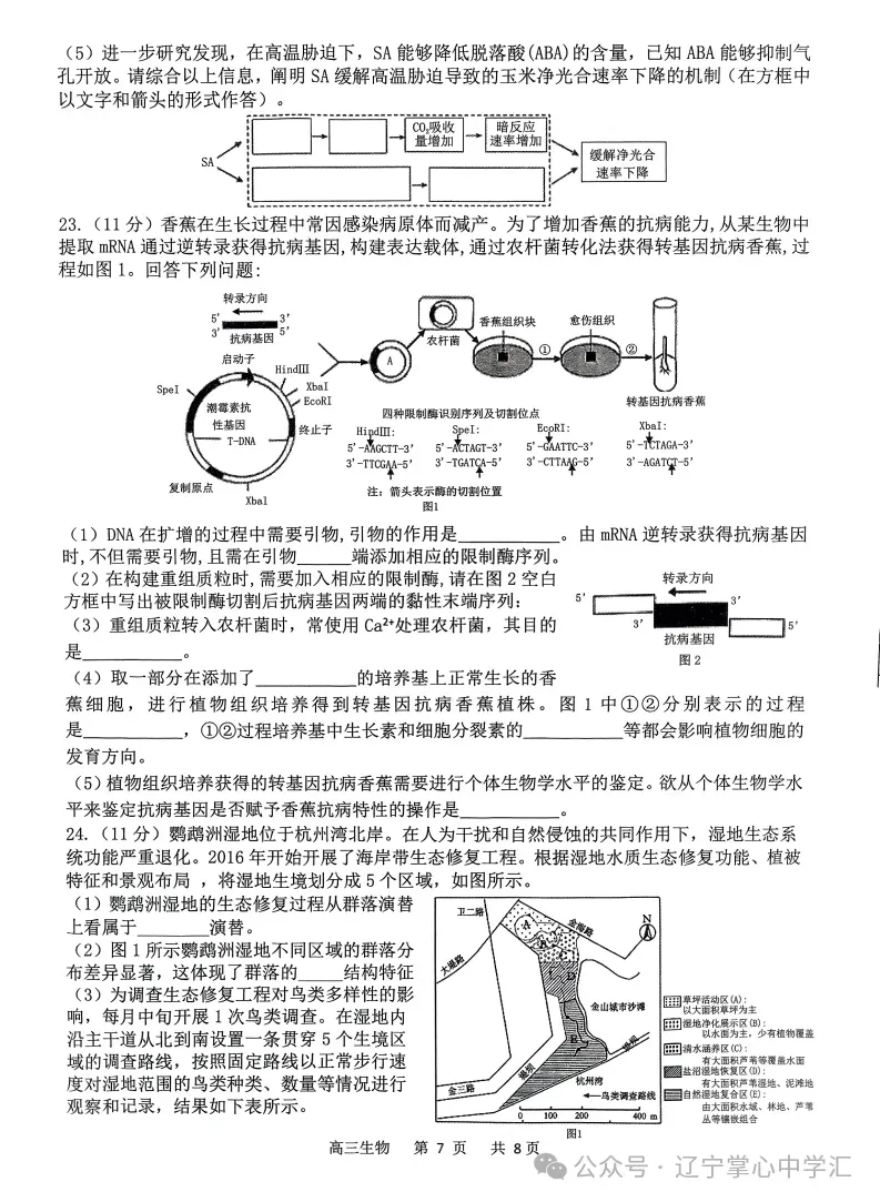 2025年4月锦州高三三模试卷+答案 第97张