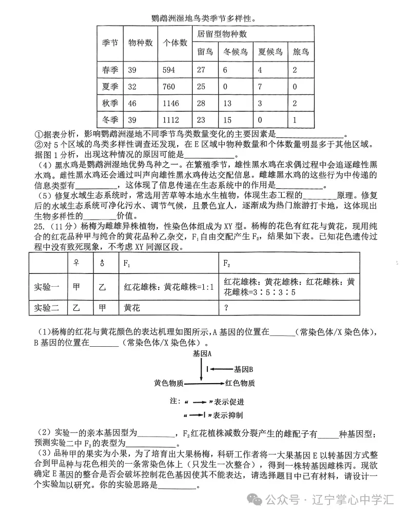 2025年4月锦州高三三模试卷+答案 第98张