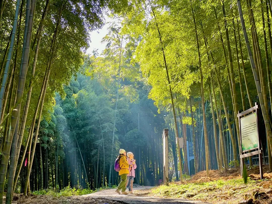 2026届上海崇明初三一模数学试卷(答案版) 第4张 2026届上海崇明初三一模数学试卷(答案版) 第4张