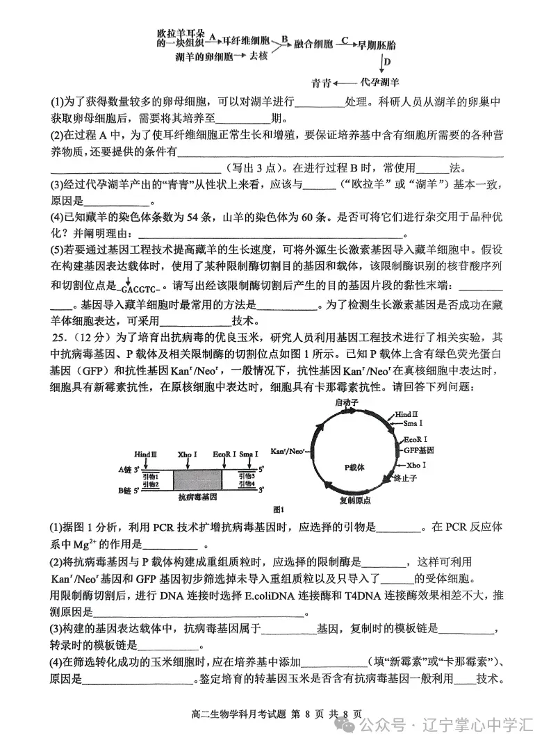 2025年4月锦州高二月考试卷+答案 第131张