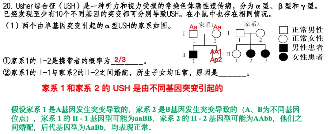【总177期】析真题 悟方法 提素养——北京卷 2025年 20题 第13张