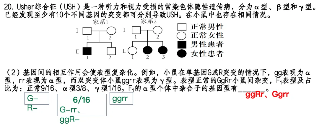 【总177期】析真题 悟方法 提素养——北京卷 2025年 20题 第14张