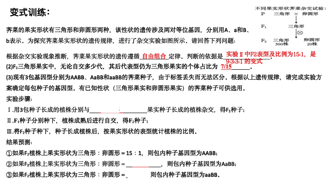 【总177期】析真题 悟方法 提素养——北京卷 2025年 20题 第19张