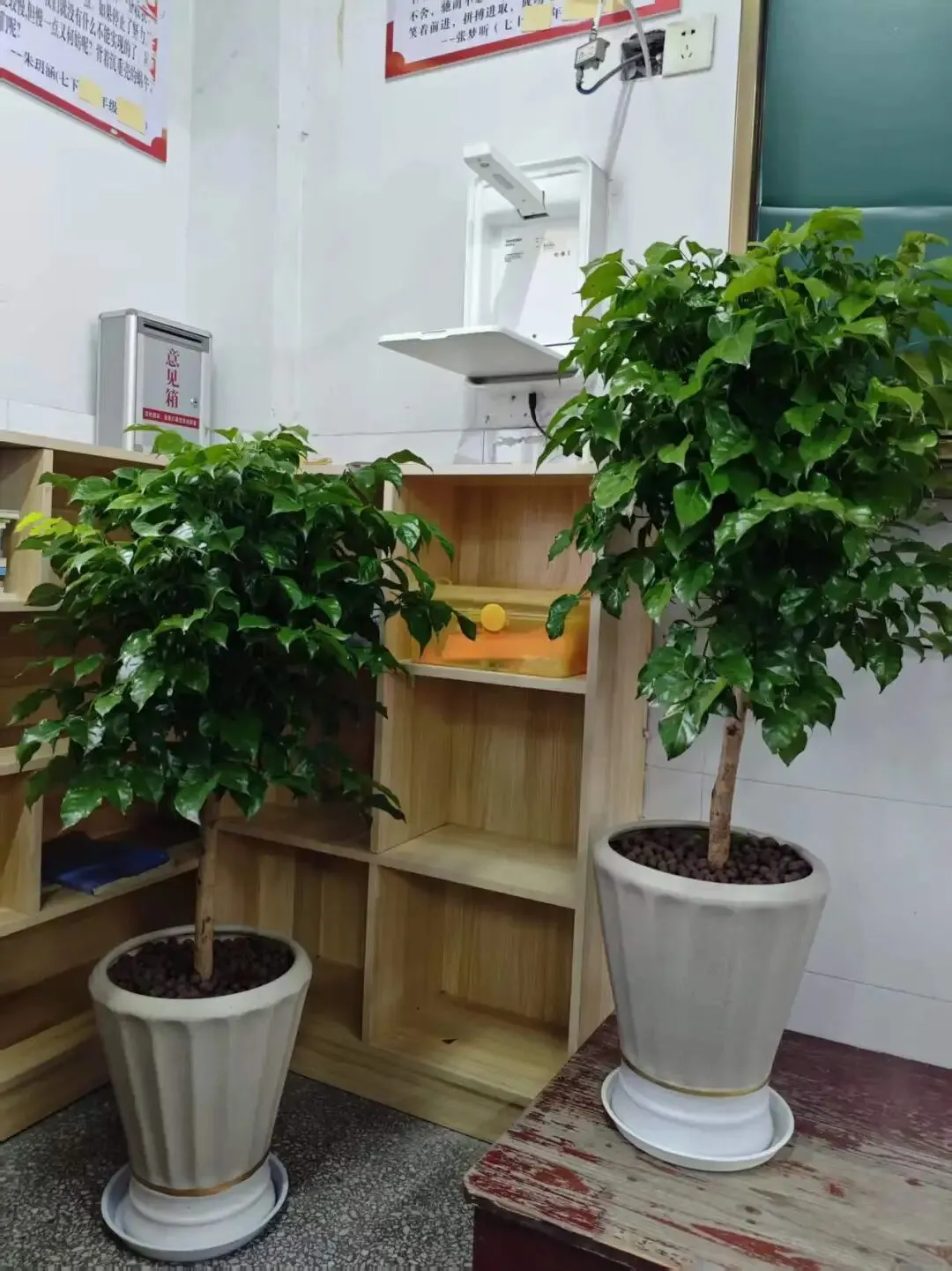 【中考我来了】月练之思 第1张