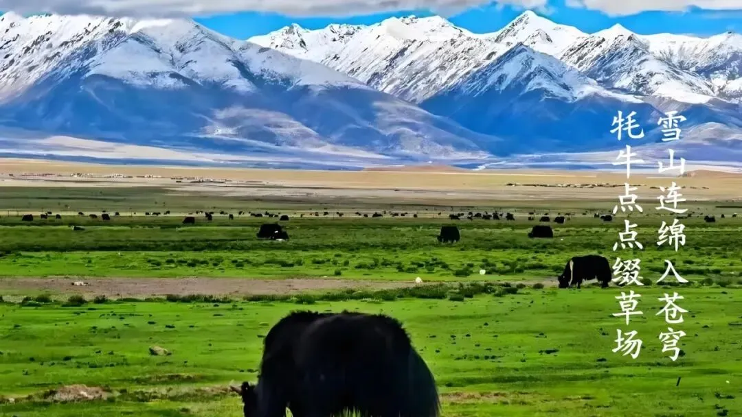 2026年中考地理复习专题十五:中国的地理差异(课件+教学设计+导学案+课后习题) 第5张 2026年中考地理复习专题十五:中国的地理差异(课件+教学设计+导学案+课后习题) 第5张