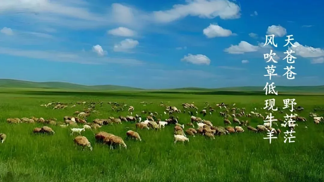 2026年中考地理复习专题十五:中国的地理差异(课件+教学设计+导学案+课后习题) 第6张 2026年中考地理复习专题十五:中国的地理差异(课件+教学设计+导学案+课后习题) 第6张