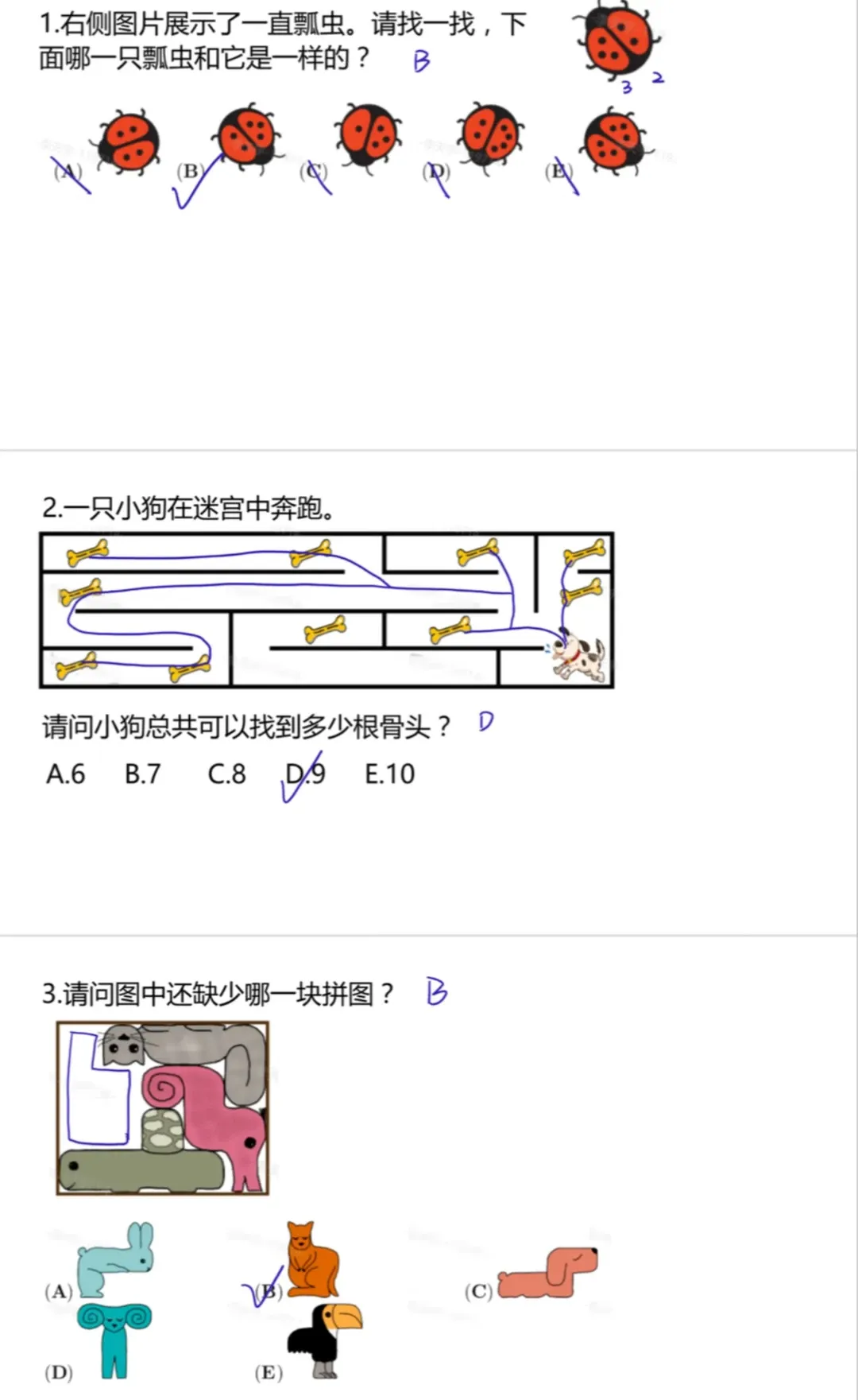 袋鼠竞赛考情分析|2026年袋鼠竞赛真题电子版分享!附分数线预测! 第3张