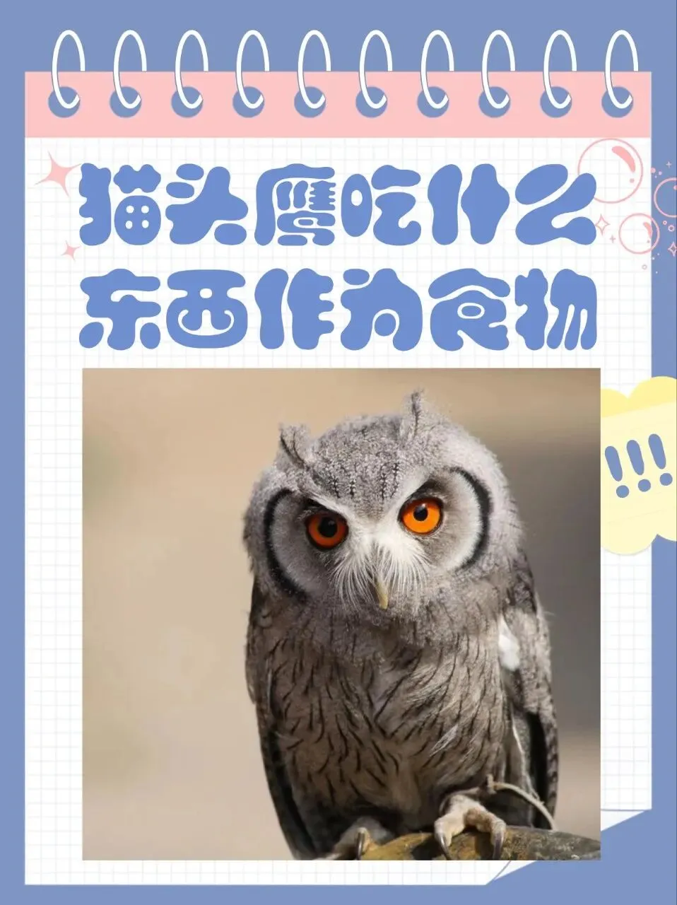 重庆中考英语新题型概要补全练习15参考答案 第1张 重庆中考英语新题型概要补全练习15参考答案 第1张