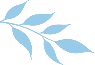 【芳华杏坛】聚智共研 赋能中考——合肥市四十八中望湖教育集团联合结对学校举办2026届毕业班复习研讨周活动 第6张