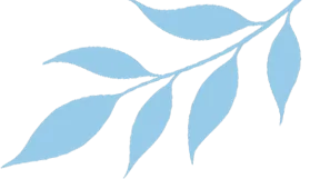 【芳华杏坛】聚智共研 赋能中考——合肥市四十八中望湖教育集团联合结对学校举办2026届毕业班复习研讨周活动 第7张