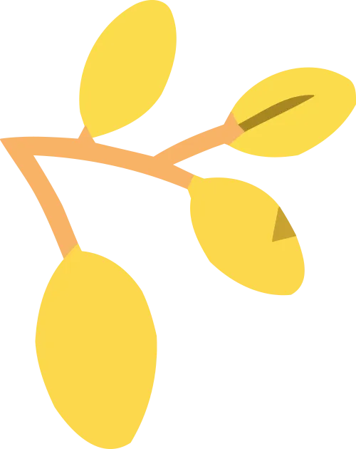 试卷分享|七年级《平面直角坐标系》单元卷 第6张