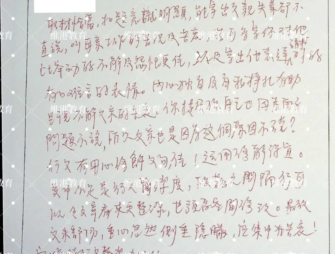 香港标准-2026 HKDSE授权全真模拟考试 第29张