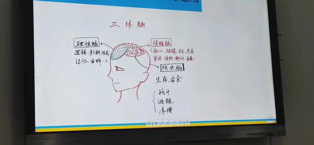 别再逼孩子了!这场讲座,治好了我的中考焦虑 第3张