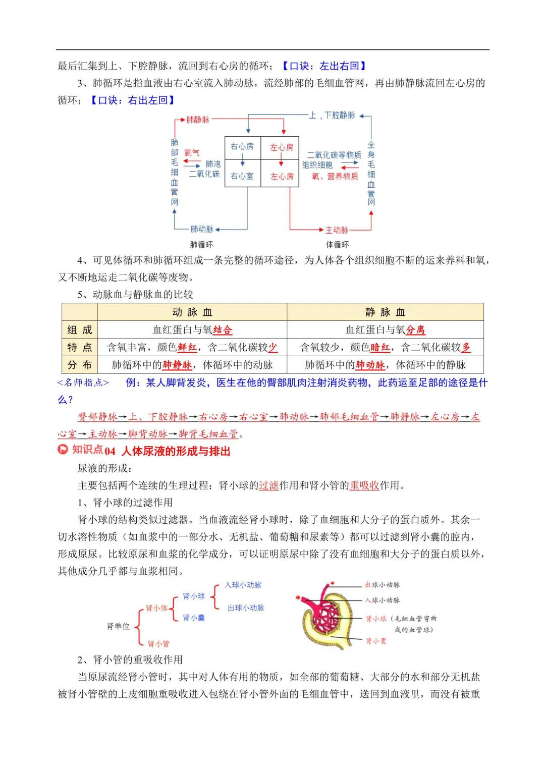 2026浙江中考科学专项冲刺(附解析) 第7张