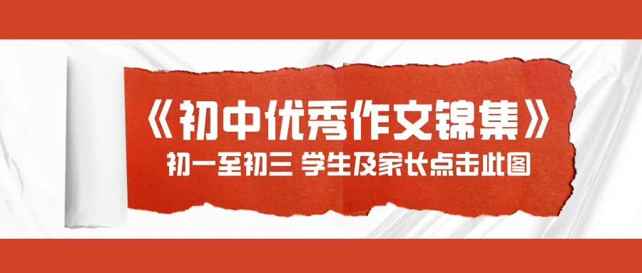 中考作文讨巧的10种开头 第4张