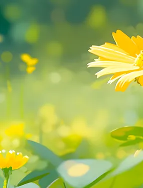 四年级阅读真题80篇 第11张