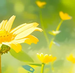 四年级阅读真题80篇 第12张