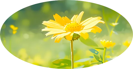 四年级阅读真题80篇 第17张