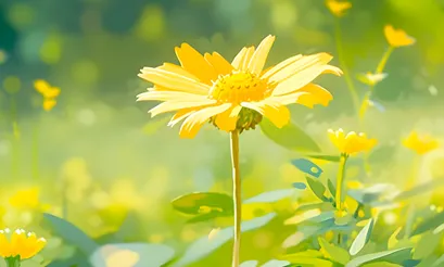 四年级阅读真题80篇 第30张