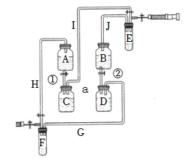 2026年生物中考七下中考复习重点曝光,从真题分析看核心考向(含解析) 第16张 2026年生物中考七下中考复习重点曝光,从真题分析看核心考向(含解析) 第16张