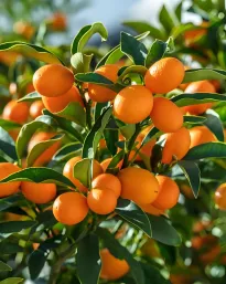 2026年生物中考七下中考复习重点曝光,从真题分析看核心考向(含解析) 第20张 2026年生物中考七下中考复习重点曝光,从真题分析看核心考向(含解析) 第20张