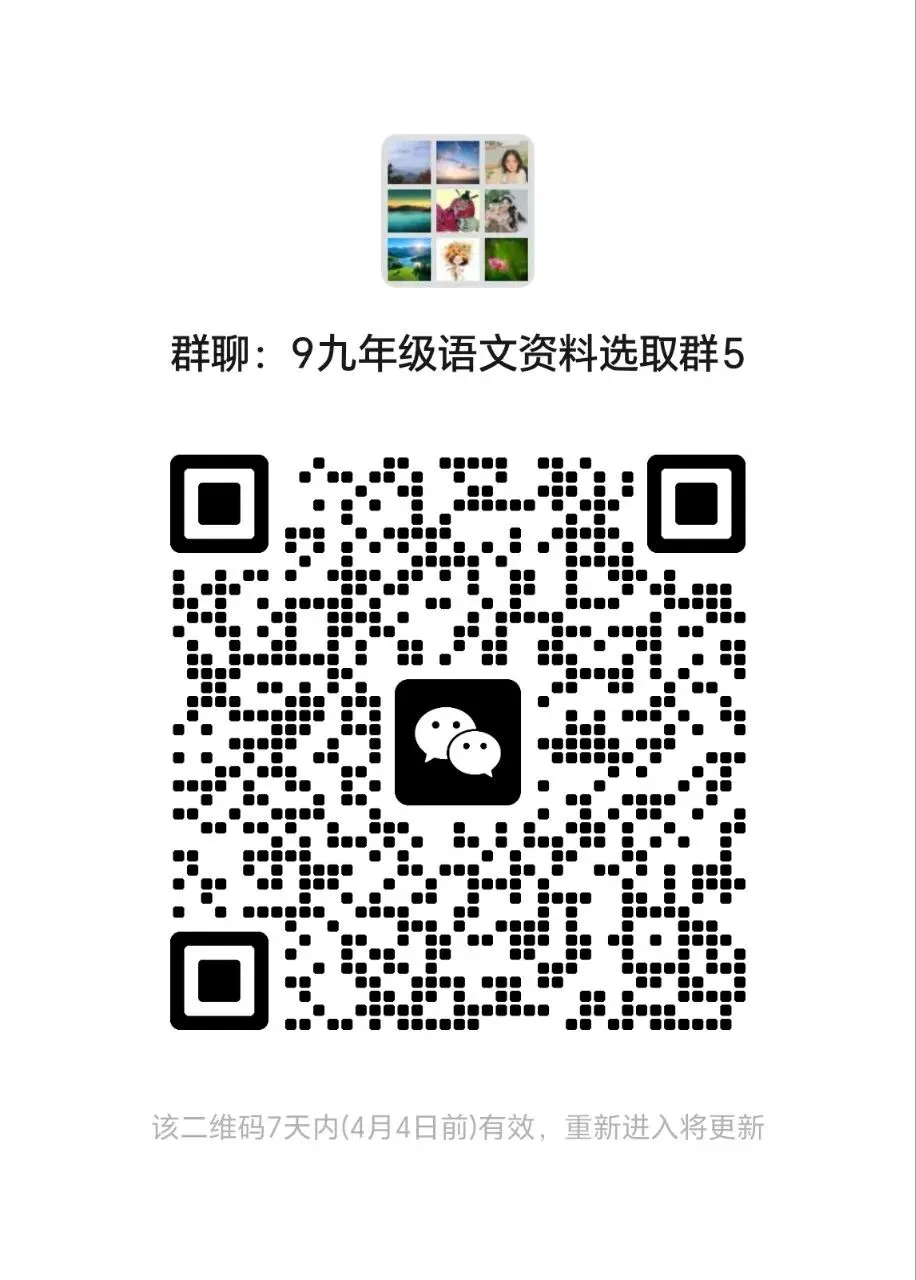 2026年中考语文模拟测试卷12 第7张